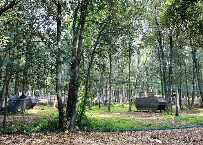 Fiorela 2 By Interhome Appartamento Porec