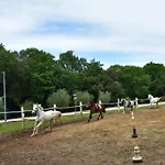 Fiorela 2 By Interhome Διαμέρισμα Πόρετς