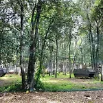 Fiorela 2 By Interhome Διαμέρισμα Πόρετς