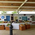 Fiorela 2 By Interhome Apartament *