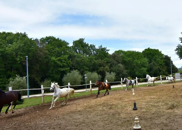 Fiorela 2 By Interhome Apartmán Poreč