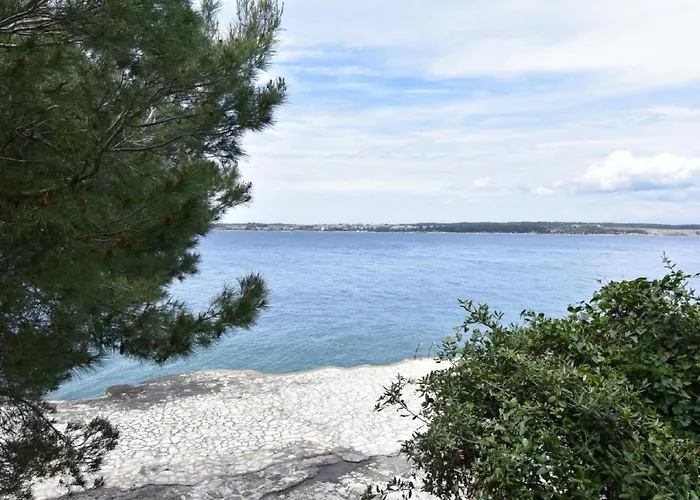 Fiorela 2 By Interhome Apartment