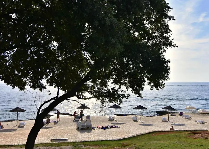 Apartmán Fiorela 2 By Interhome